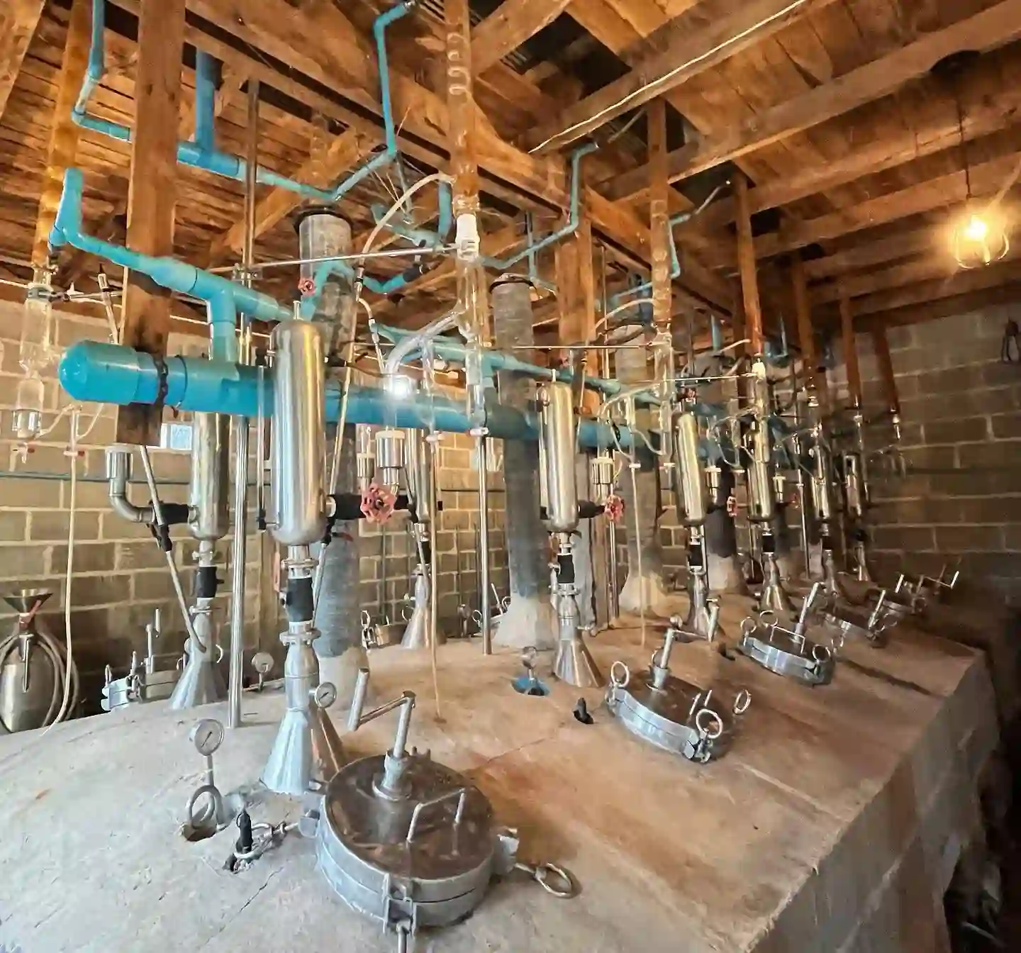 Agarwood oil distillation at Mesook Farm, using their own extraction equipment