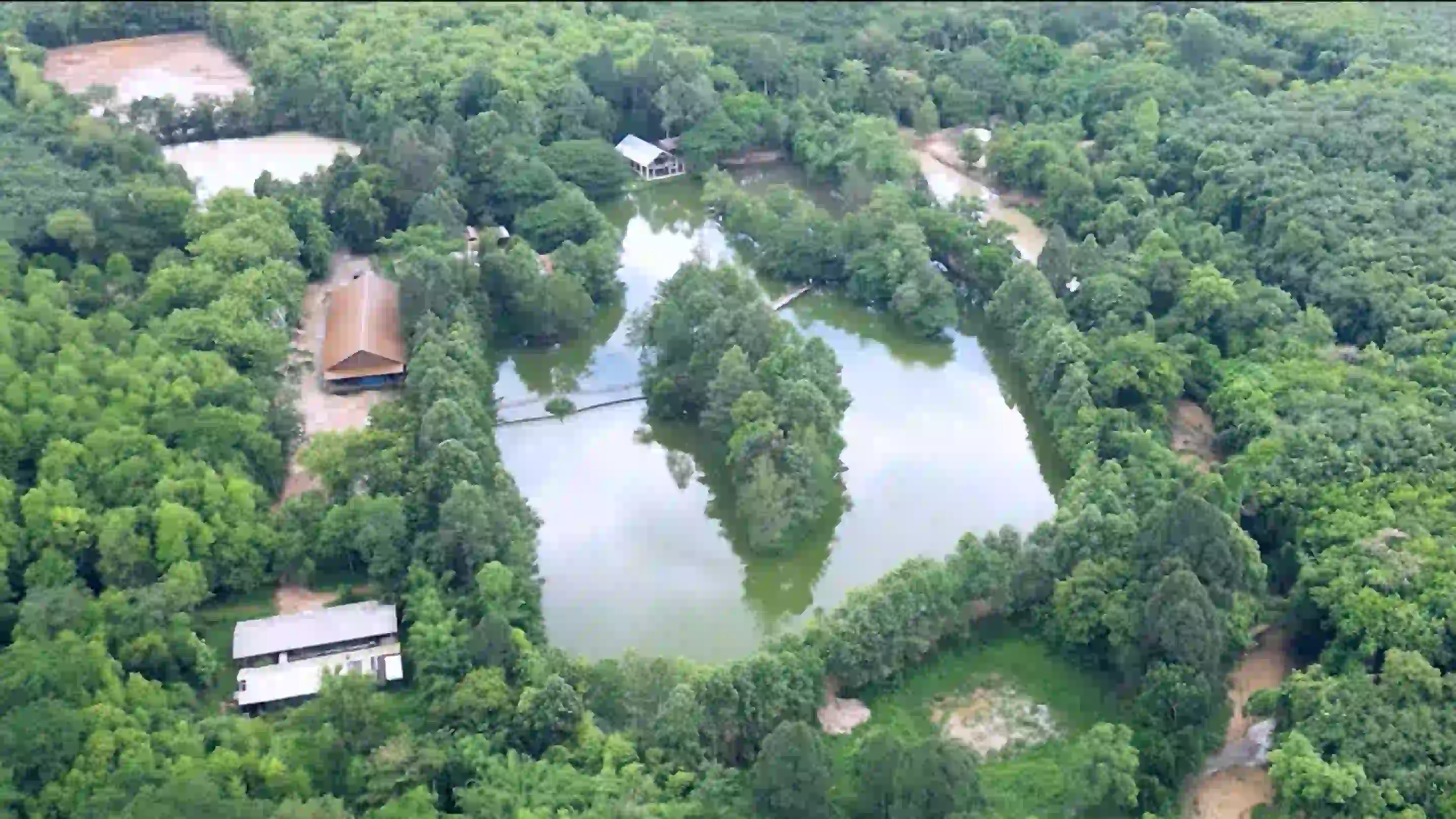 Aerial view of the 30-year-old agarwood plantation at Mesook Farm, Rayong