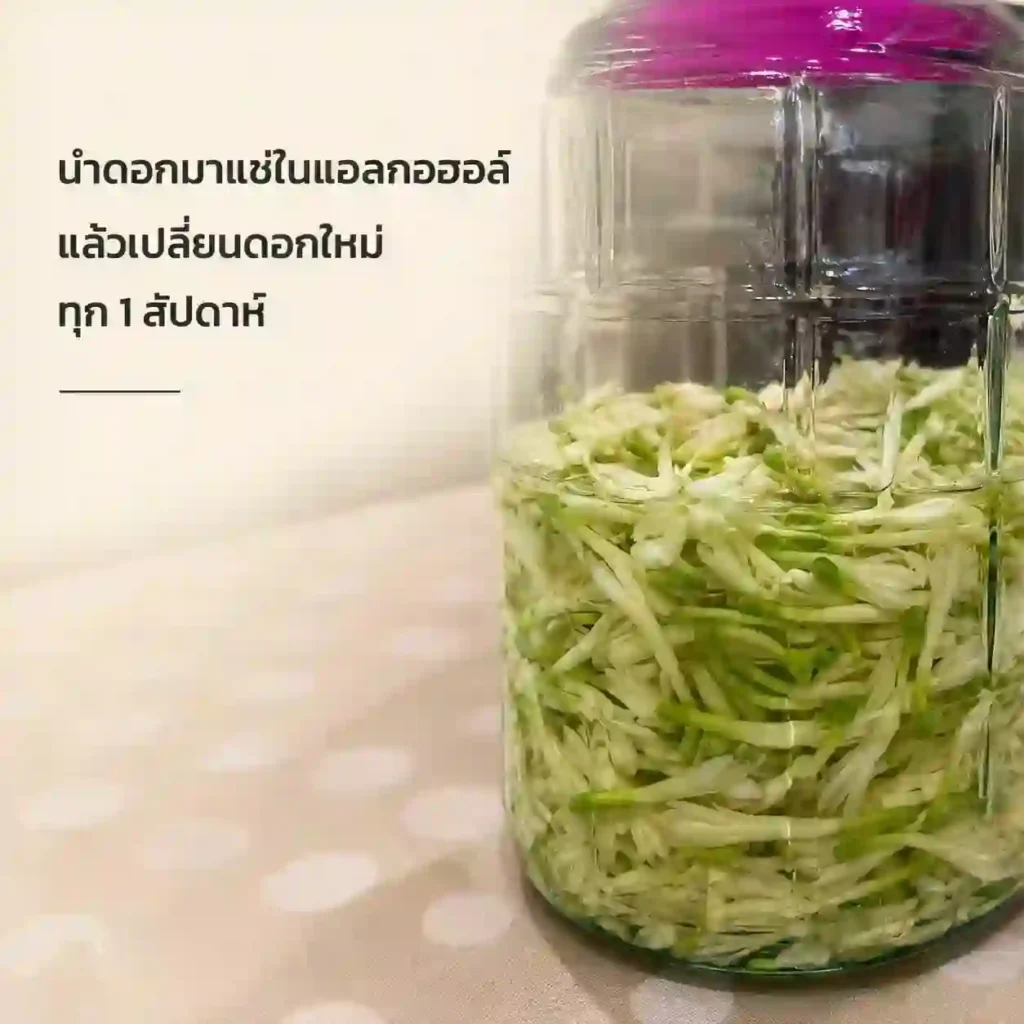 สกัดกลิ่นดอกซ่อนกลิ่น ด้วยการแช่ดอกในแอลกอฮอล์ ระหว่างการทดลองรอบที่สอง